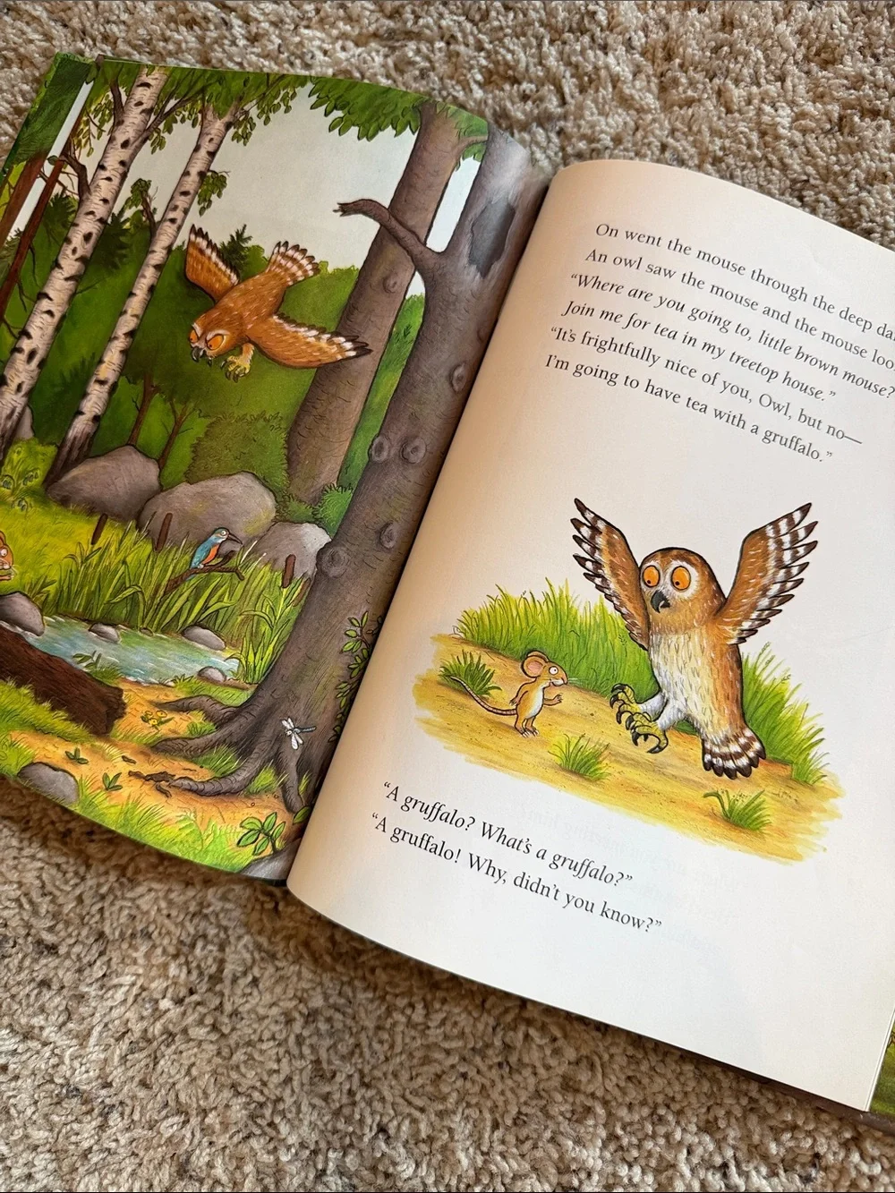 3/$25 🪩 The Gruffalo Picture Book | Children's Learning Book